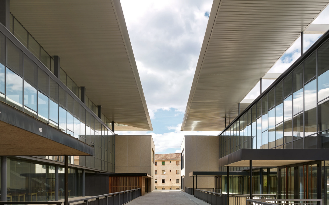 I Escuela de Verano de la SEP con la colaboración de la Universidad de Valladolid