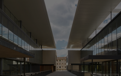 I Escuela de Verano de la SEP con la colaboración de la Universidad de Valladolid